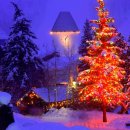 삼호당구장 이미지