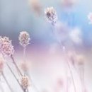 아름다운 삶의 마무리, 웰다잉 이미지