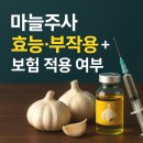 경주사 | 마늘주사 가격·효능·부작용 알아보기기 (실비 적용 가능할까?)