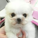 괴정3동-3 이미지