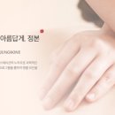 정본 에스테틱 청담점