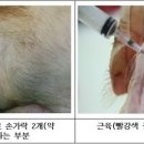 광선축산 이미지