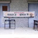 행복하개 | 반려견과 행복하개 피트니스 반려인 힐링프로그램 후기[광주남구가족센터]