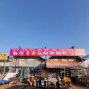 장안꽃시장 네이버블로그