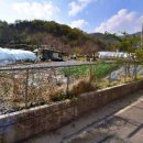 동명부동산