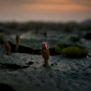 2024 찾아가는 도립미술관 이미지