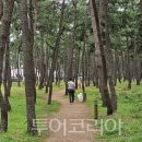 (주)두레항공여행사