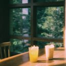[nikonf3｜ phoenixfilm2] 하만 피닉스2 필름 사용 후기