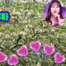 영등 발전소 네이버블로그