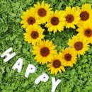 원예기능사 이미지