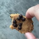 백고동베이커리 네이버블로그