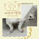 파리바게뜨 부곡한서병원점 | [부곡시장/애견미용] 단골이 최고! 가성비 갑 '에브리댕댕이' 부분미용✂️ & 동물병원 나들이🏥(내돈내산)