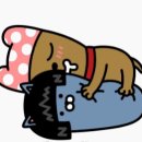 참, 애쓴다. 애써. 이미지