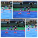 경희대 국가대표 태권도장 이미지