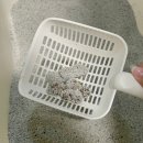 최강 | 고양이탈취모래 고민 끝내줄 “최강모래 무향” 후기