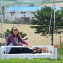 농수산마을 이미지