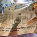 (주)케이에스에프 | 크리스피라이스 미즈꼬레아 누룽지스낵 후기!