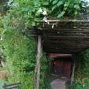 플라밍고당구장 | 하노이 플라밍고 리조트 후기~