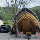 숲속에 머물다 이미지