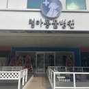 청아동물병원 이미지