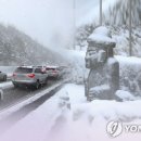 제주온인 이미지