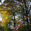 흥국생명보험 이미지