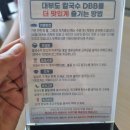 [경기도 안산] 대부도칼국수 디디비 해물칼국수