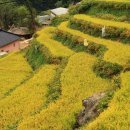 고삼경로당 이미지