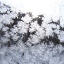 나무사이에 자연속으로 이미지