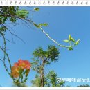 이색체험마을 이미지