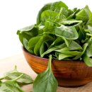 독일프리미엄보청기 이미지