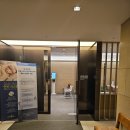 라라산부인과의원 | 난임일기#7 평촌 마리아의원 1과 시험관 3차 동결이식 변형자연주기 과정, 후기, 비용 정리