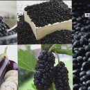 도깨비빵집 - 안산시 상록구 도매시장로 87 | 도깨비빵집
