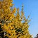 원문공원(입구) 이미지