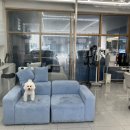 이솔 | [미용실] 생애 첫 히피펌(물결펌) 성공 후기-평택 고덕 미용실 '살롱이솔' 히피펌 후기 및 관리