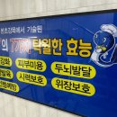 태화강민물장어 이미지