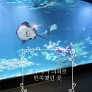 대구 가볼만한 곳 추천! 생각보다 훨씬 재밌었던 동대구역 아쿠아리움 후기