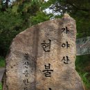 현불사 Daum카페