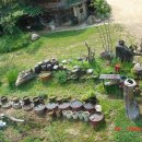 장어농장 이미지