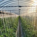 햇살그린농장 이미지