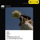 아티크 | W_8 [제주 웨딩 스냅계약] 아티크x더누아 패키지 추천