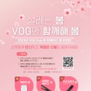 헤어씨티 이미지