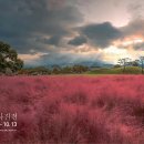 경주화백컨벤션센터 이미지