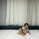 모먼트가구 - 창원시 의창구 창원대로 330 | 밤마다 떨어질까 걱정 끝! 용인가구 모먼트 패밀리침대 후기