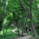 괴곡성벽길 이미지