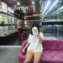 내 품안의 반려견(강서점) 이미지