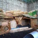 정원유치원 이미지