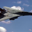 Grumman F-14 Tomcat 귀여운 하늘의 고양이들 이미지