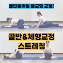 연산동PT 헬스 자세교정피티 골반교정 체형교정 스트레칭♥