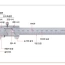 노기스